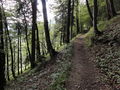 Vorschaubild der Version vom 19:49, 15. Sep. 2015