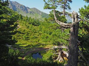 Bad Gastein Zirbenweg 04.jpg