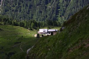 Twenger alm 29712 2016-07-10.jpg