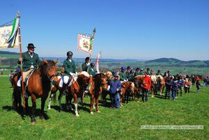 2015 04 19 Georgiritt Sommerholz 10.jpg