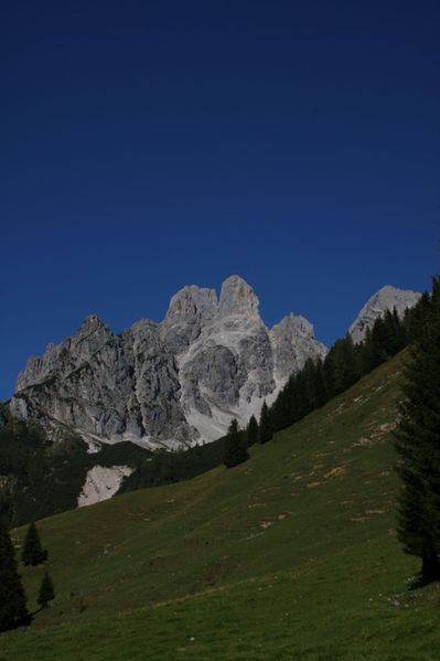 Datei:Bischofsmütze 36827 2011-09-11.jpg