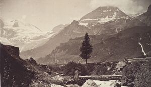 Hohe Dock Ferleitental.jpg