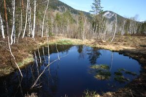 Mandlinger moor 69763 2018-04-18.jpg