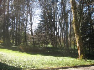 Garten-Trapp-Villa-West.jpg