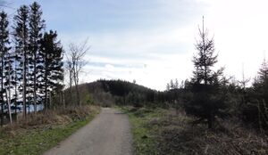 Panoramaweg Nordteil.JPG