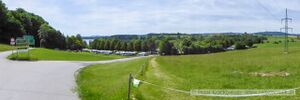 Wallersee Ostbucht Neumarkt 5.jpg