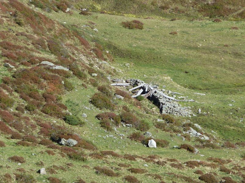 Datei:Almwüstung, Ostabhang Langeck 3.jpg