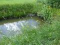 Bruckbergkanal 3.jpg