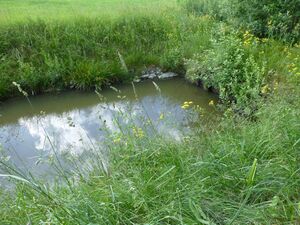 Bruckbergkanal 3.jpg