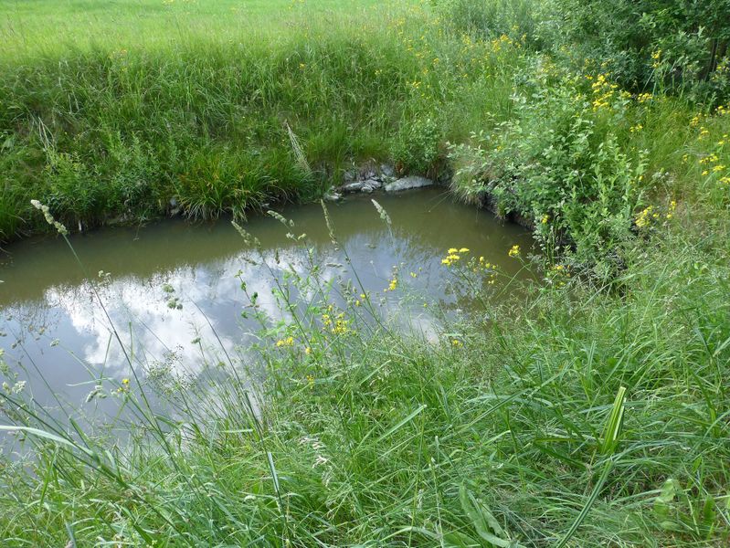 Datei:Bruckbergkanal 3.jpg
