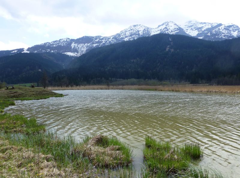 Datei:Grießensee 3.jpg