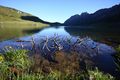Oberhüttensee 26359 2016-06-23.jpg