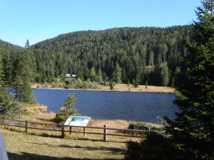 Prebersee Ausblick 002.jpg