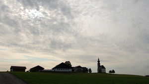 Sommerholzsilhouette.jpg