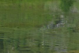 Tiefenbachsee-weißpriach 29599 2016-07-10.jpg