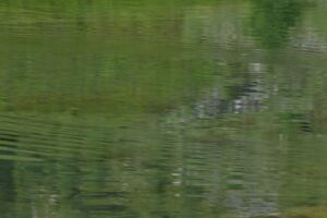 Tiefenbachsee-weißpriach 29599 2016-07-10.jpg