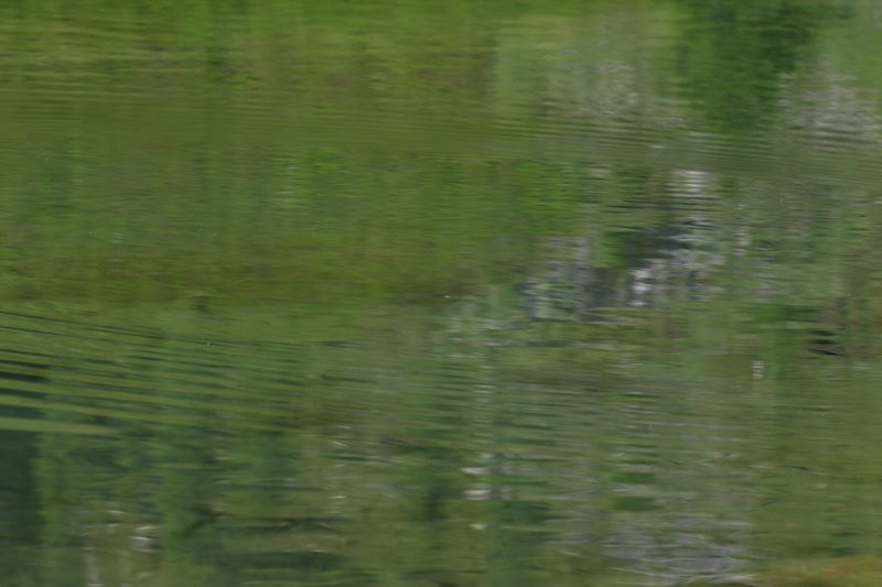 Datei:Tiefenbachsee-weißpriach 29599 2016-07-10.jpg