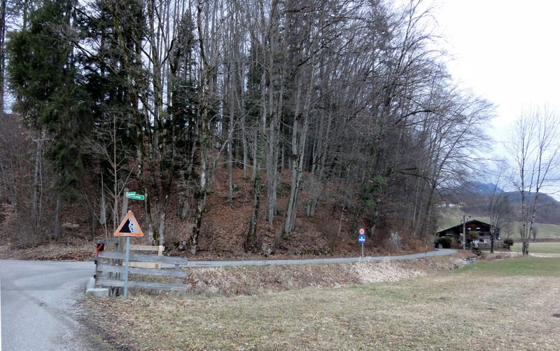 Datei:Goisweg (Oberalm).jpg