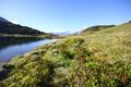 Oberhüttensee 26348 2016-06-23.jpg