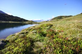 Oberhüttensee 26348 2016-06-23.jpg