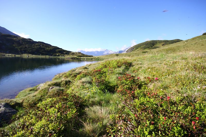 Datei:Oberhüttensee 26348 2016-06-23.jpg