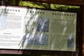 Tennfall-0127-2022-07-14.jpg