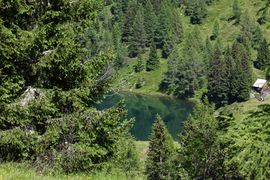 Wirpitschsee, unterer 29816 2016-07-10.jpg