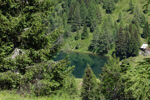 Wirpitschsee, unterer 29816 2016-07-10.jpg