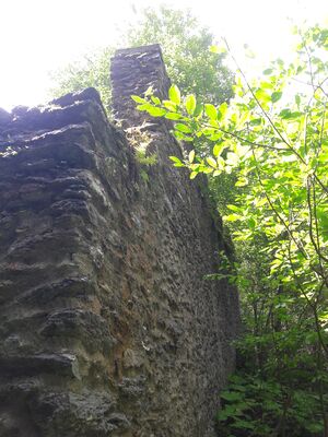 Burgruine Klausegg Seetal Lungau 20250818 1 (113).jpg