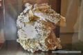 Rauriser Talmuseum Mineralien in der Goldberggruppe 02.jpg