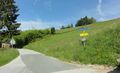 Kramlehenweg (Koppl).jpg
