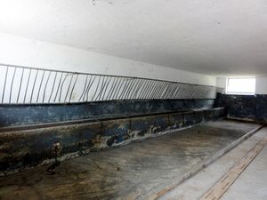 Stallansicht beim Salzburger Nutzviehmarkt.jpg