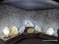 2025 02 02 Haus der Natur 06.jpg