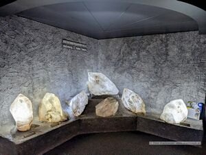 2025 02 02 Haus der Natur 06.jpg