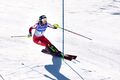 FIS Alpine Ski Weltmeisterschaften Saalbach 2025 Damen Slalom Katharina Liensberger.jpg