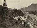 Fritztal Hoher Damm um 1875.jpg
