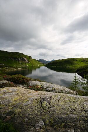 Fuchsee 0880 08-07-19.jpg