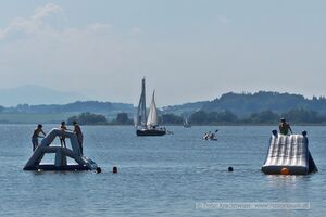 Wallersee Sommer Neumarkt.jpg