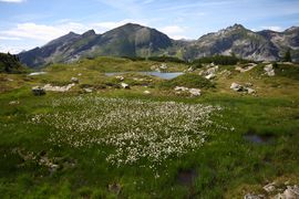 Krummschnabelsee obertauern 30916 2016-08-04.jpg