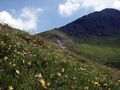 Twenger alm 18288 2003-07-01.jpg