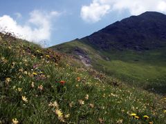 Twenger alm 18288 2003-07-01.jpg