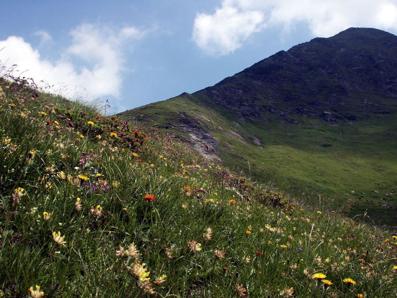 Datei:Twenger alm 18288 2003-07-01.jpg