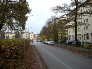 Bräuhausstraße.jpg