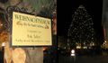 Christbaum vor dem Mirabellschloss.jpg