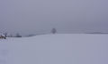 Gschirrnlinde in der Winterlandschaft.JPG