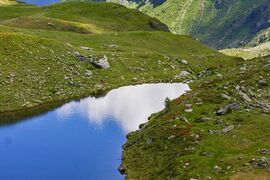 Schönalmsee, obere 29885 2016-07-10.jpg