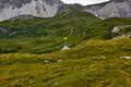 Windsfeld-13-2022-07-14.jpg