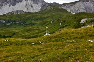 Windsfeld-13-2022-07-14.jpg