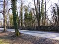 Alte Schlossparkmauer entlang der Leopoldskronstraße.JPG