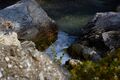Hintere riedingbach-0222-2021-09-14.jpg